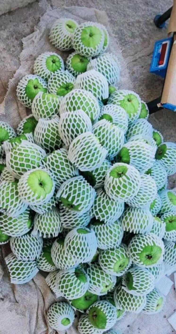 Exterior View, hirapur  10200 Sq.Yd. Plot In Hirapur Raipur 7844235