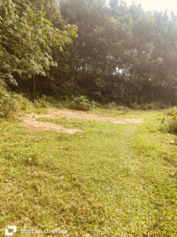 Plot For Resale in Dhaleshwar Agartala  7844781