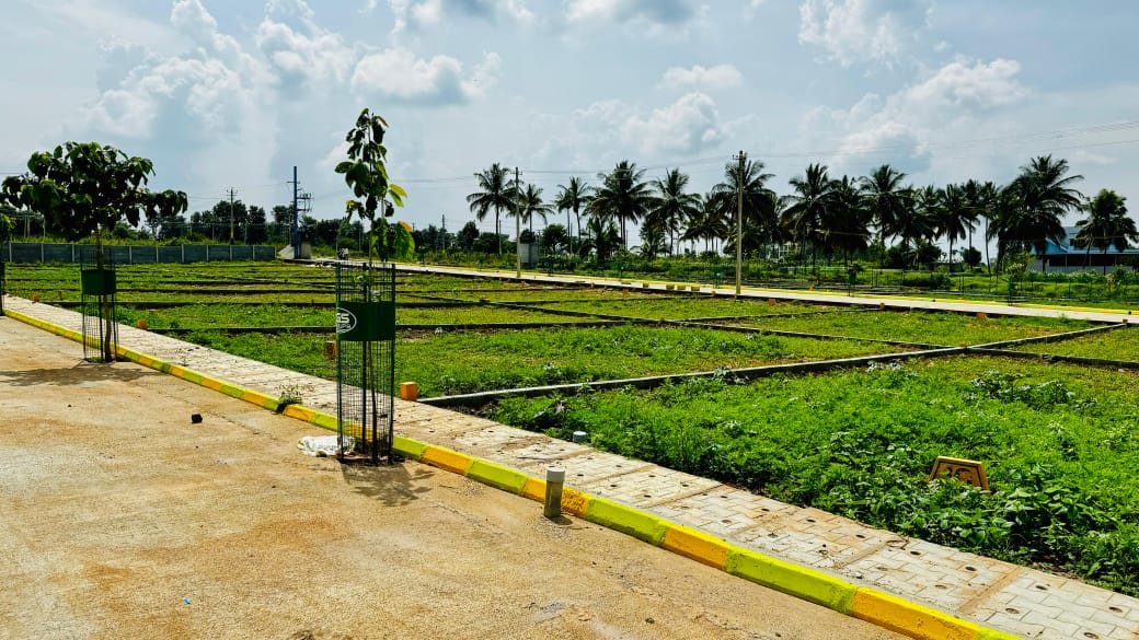 Plot For Resale in Rt Nagar Bangalore  7844809