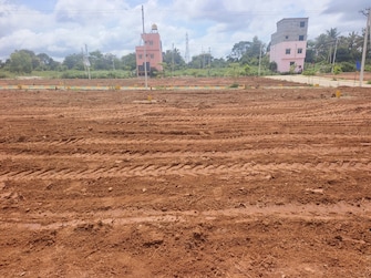 Plot For Resale in Veerapura Kolar  7844817