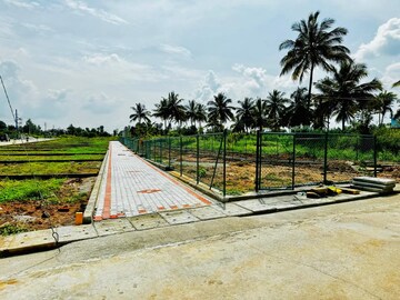  Plot For Sale in Nelamangala