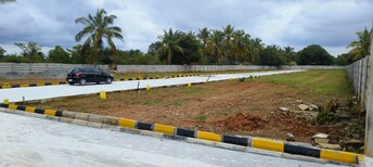 Plot For Resale in Sadahalli Bangalore  7845168