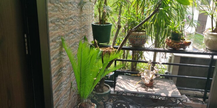 Garden, shivalik colony 2 Bedroom 100 Sq.Yd. Builder Floor In Shivalik Colony Delhi 7845349