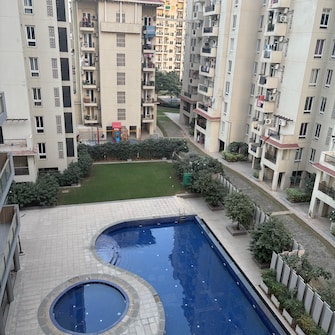 2.5 BHK Apartment For Resale in Emaar Emerald Estate Medawas Gurgaon  7845461