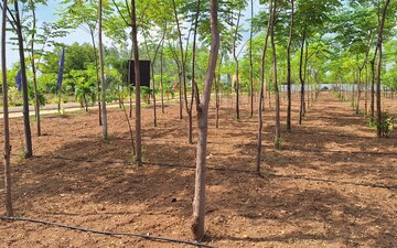 Plot For Sale in Adilabad