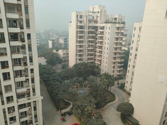 3 BHK Apartment For Rent in The Legend One Sector 57 Gurgaon  7845791