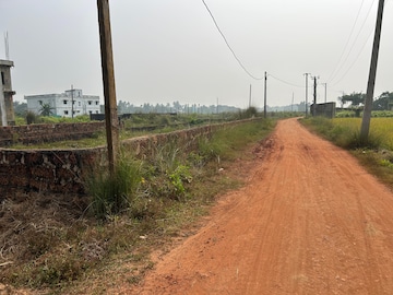 Plot For Resale in Pahal Bhubaneswar  7845974