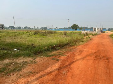 Plot Area in  Plot at Pahal – for Sale