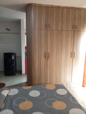 1 BHK Apartment For Resale in Ajnara Daffodil Sector 137 Noida  7846014