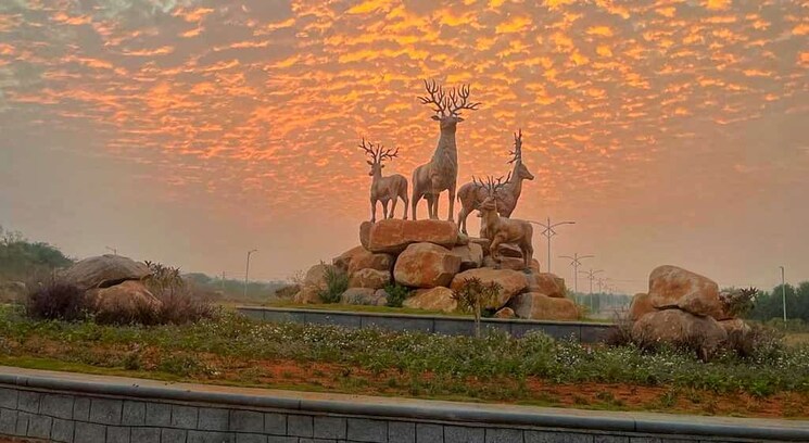 Garden, jb-nature-valley  200 Sq.Yd. Plot In Choutuppal Hyderabad 7846008