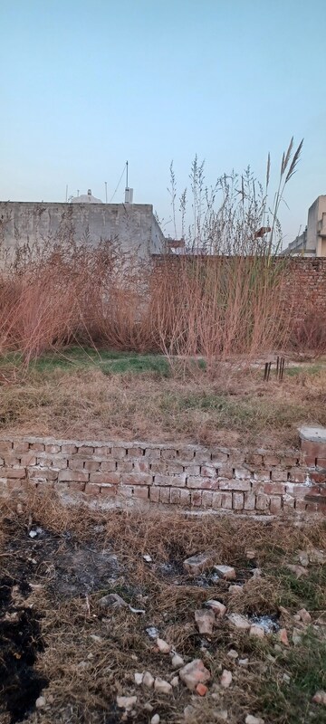  Plot For Sale in Patiala Road