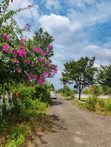  Plot – Exterior View View at Kasarsai - for Sale