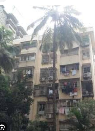 1 BHK Apartment For Rent in Asmita Apartment Malad Malad West Mumbai  7846753