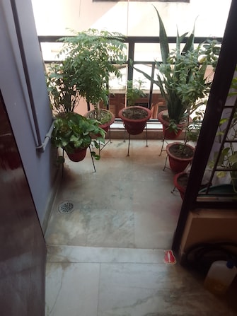 2 BHK Apartment For Resale in Kanodia Skanda Apartments Lukarganj Allahabad  7846696