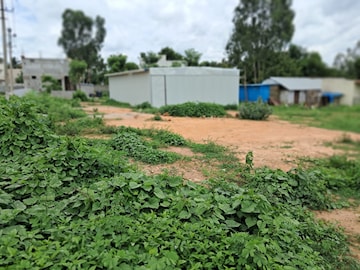 Plot For Resale in Bileshivale Bangalore  7847223