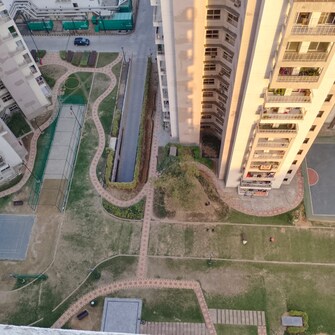 2 BHK Apartment For Rent in SS Almeria Sector 84 Gurgaon  7847290