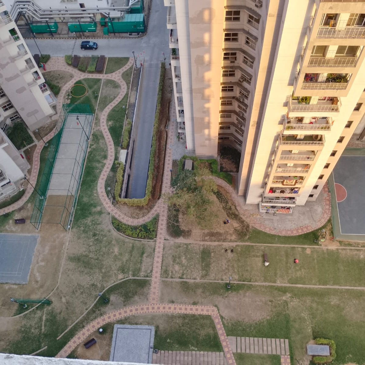 2 BHK Apartment For Rent in SS Almeria Sector 84 Gurgaon  7847290