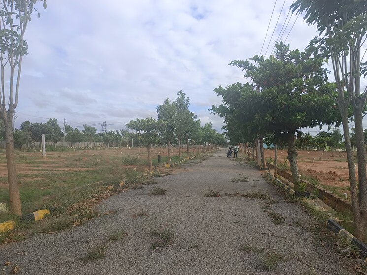 undefined, sampangi rama nagar  1500 Sq.Ft. Plot In Sampangi Rama Nagar Bangalore 7847709