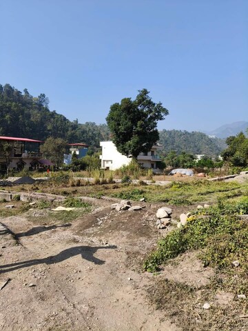 Plot Area in  Land at Sahastradhara – for Sale