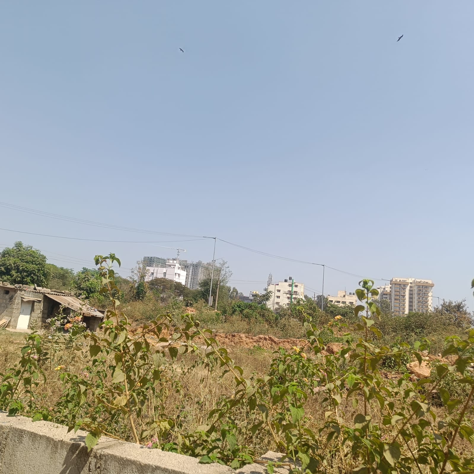 Plot For Resale in Geddalahalli Bangalore  7848390