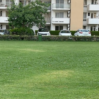 3 BHK Apartment For Rent in Emaar Imperial Gardens Sector 102 Gurgaon  7848981