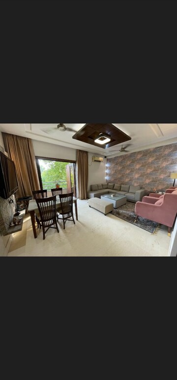 रेसिडेंशियल बिल्डर फ्लोर वर्ग यार्ड फॉर रेंट इन हौज़ खास दिल्ली  7849115