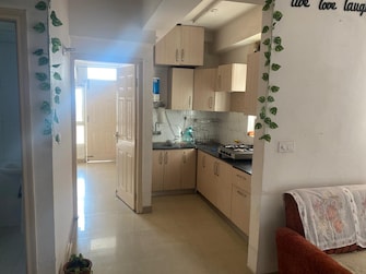 2 BHK Apartment For Resale in Anukampa Retreat Sodala Jaipur  7849239