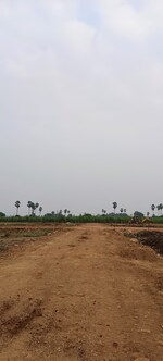 209 Sq.Yd. Plot in Rsrao Infra 