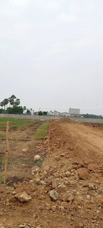  Plot For Sale in Kankipadu