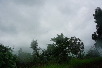 Plot Area in  Plot at Nasrapur Velha Road – for Sale