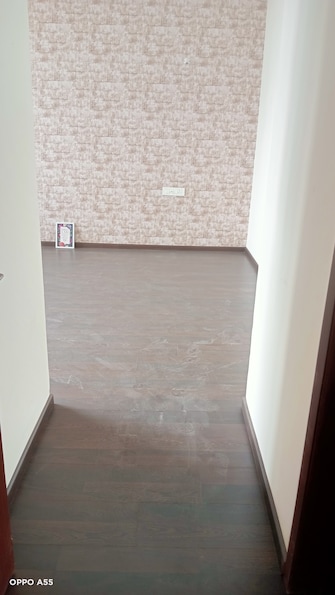 2 BHK Apartment For Rent in Paradise Sai Mannat Kharghar Kharghar Navi Mumbai  7850075