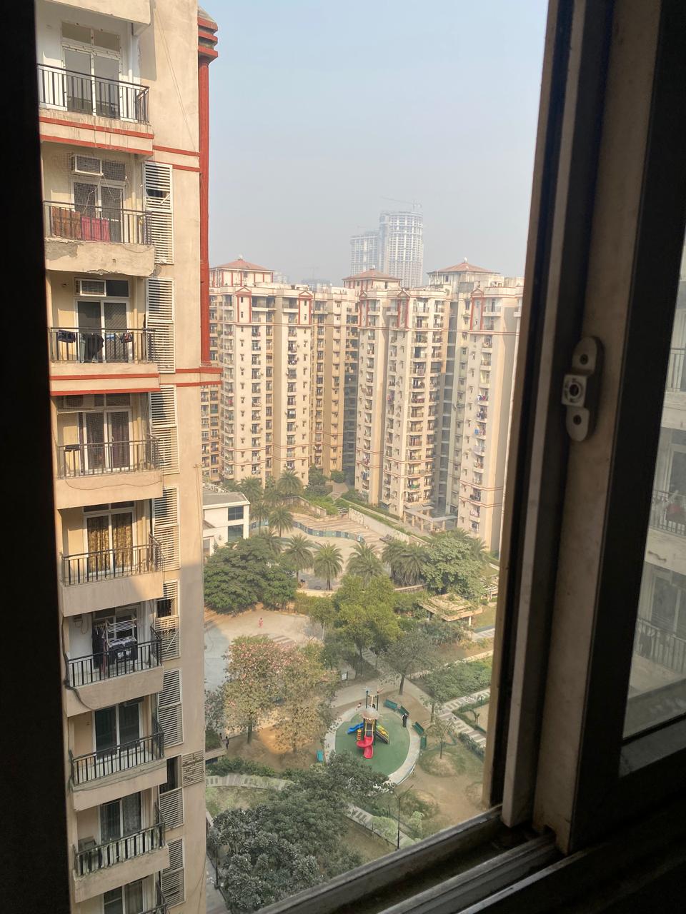 2.5 BHK Apartment For Rent in Amrapali Princely Estate Sector 76 Noida  7850403