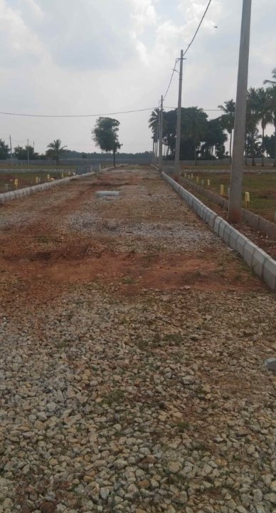 Plot For Resale in NN Enclave Doddaballapur Bangalore  7850678