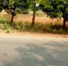 Land For Sale in RR Eco Province, Shamirpet