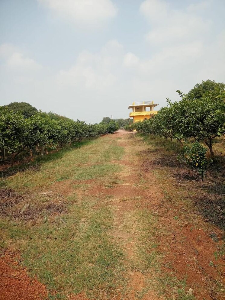 Garden, hirapur  13500 Sq.Yd. Plot In Hirapur Raipur 7850936