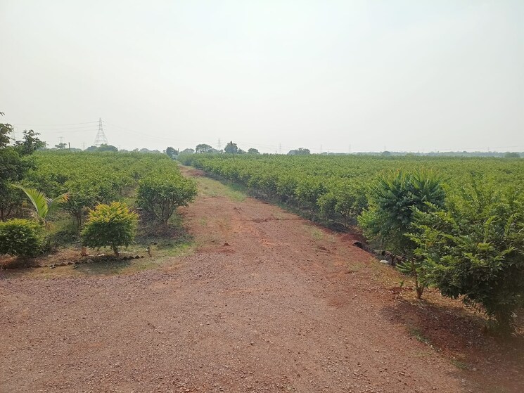 undefined, hirapur  13500 Sq.Yd. Plot In Hirapur Raipur 7850936