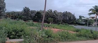 Plot For Resale in Chokkanahalli Bangalore  7850992