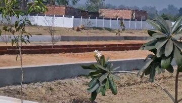 Plot Area in  Plot at Nigohan – for Sale
