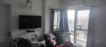2 BHK Apartment For Rent in Amrapali Terrace Homes, Tech Zone 4 Greater Noida