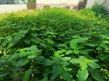  Plot – Garden View at Kempegowda Nagar - for Sale