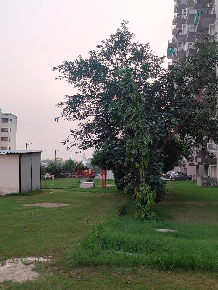 Garden, rof-aalayas 2 Bedroom 717 Sq.Ft. Apartment In Sector 102 Gurgaon 7851437