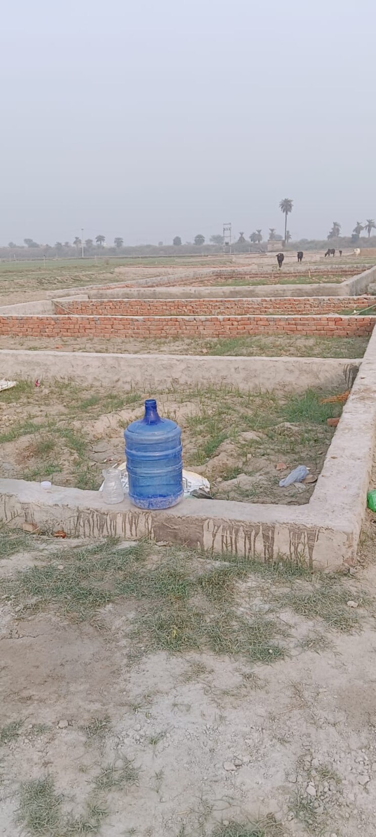 undefined, bhopani village  103 Sq.Yd. Plot In Bhopani Village Faridabad 7851632