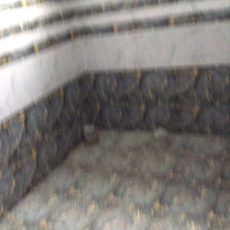 Garden, jp nagar 2 Bedroom 1200 Sq.Ft. Apartment In Jp Nagar Bangalore 7851851