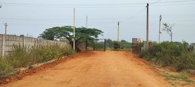 undefined, shadnagar  200 Sq.Yd. Plot In Shadnagar Hyderabad 7852028