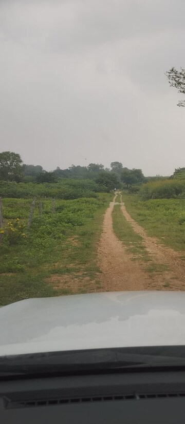Plot Area in  Plot at Shamshabad – for Sale