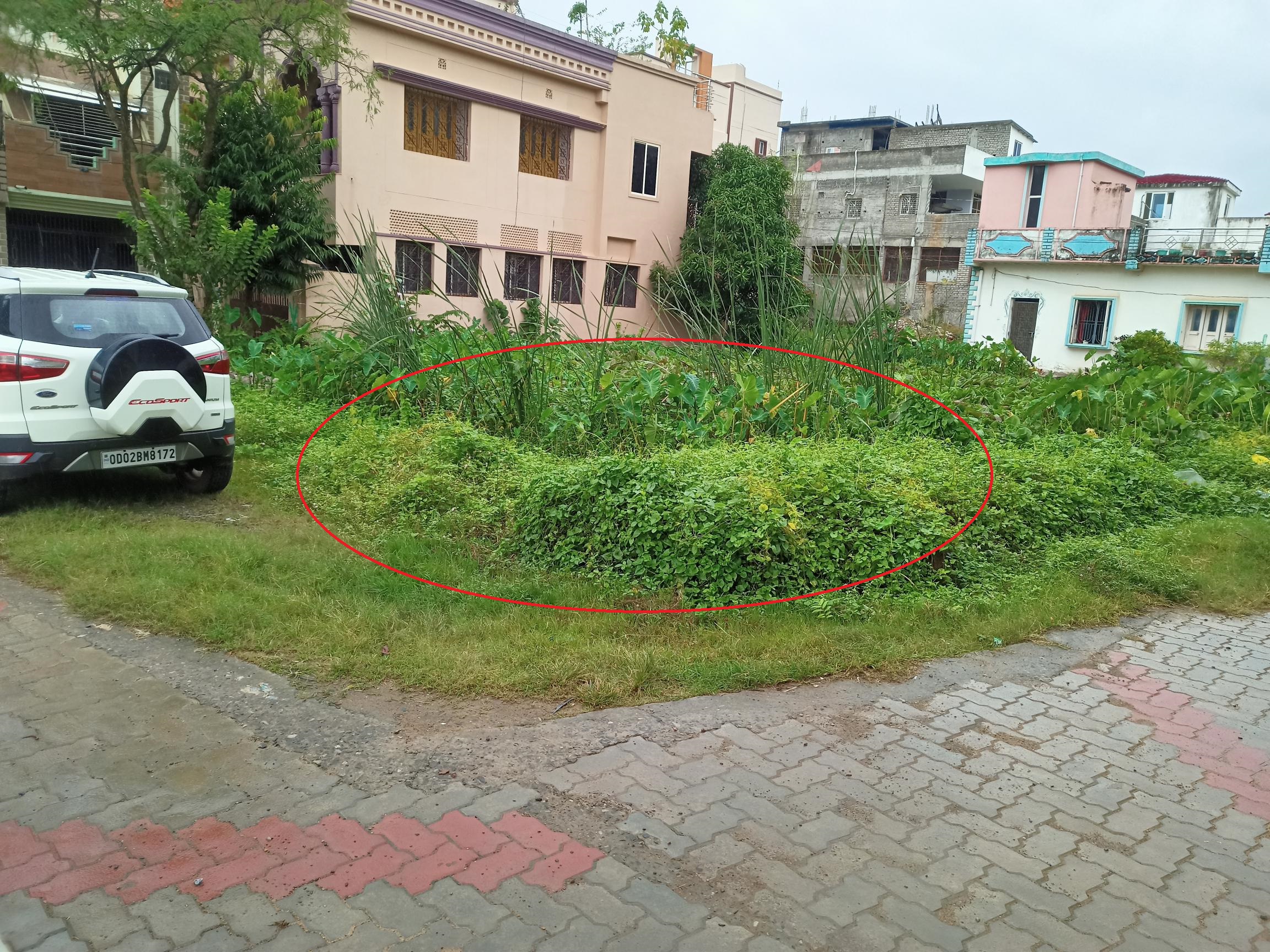 Plot For Resale in Khandagiri Bhubaneswar  7852324