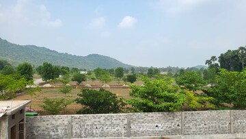 Plot Area in  Plot at Kothavalasa – for Sale