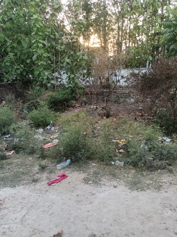  Plot For Sale in Touchwood The Woods Naubasta, Naubasta Kala