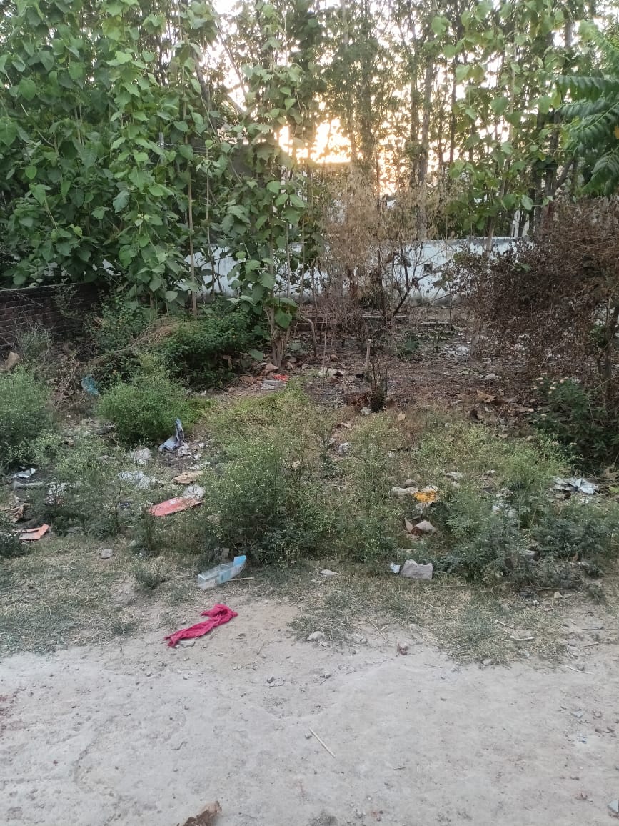 Plot For Sale in Touchwood The Woods Naubasta