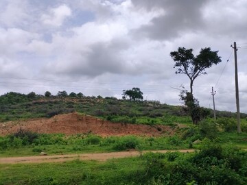  Land For Sale in Shankarpalli